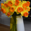 Narcissus Vega vaas_web